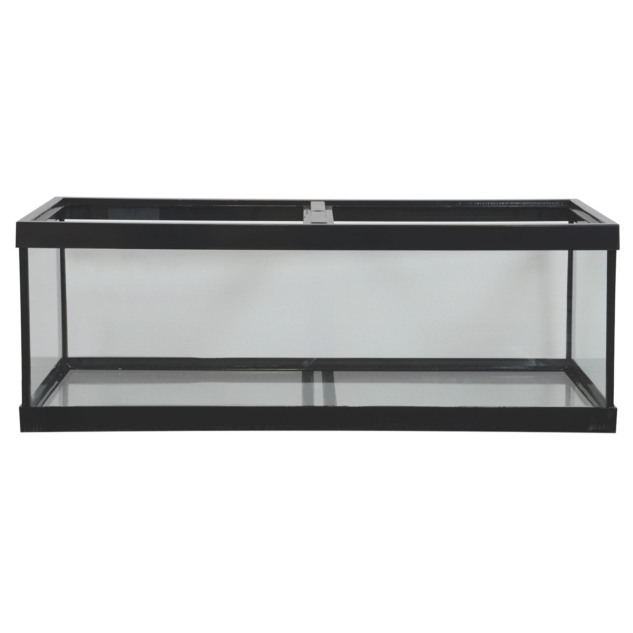 40 gallon tall aquarium best sale