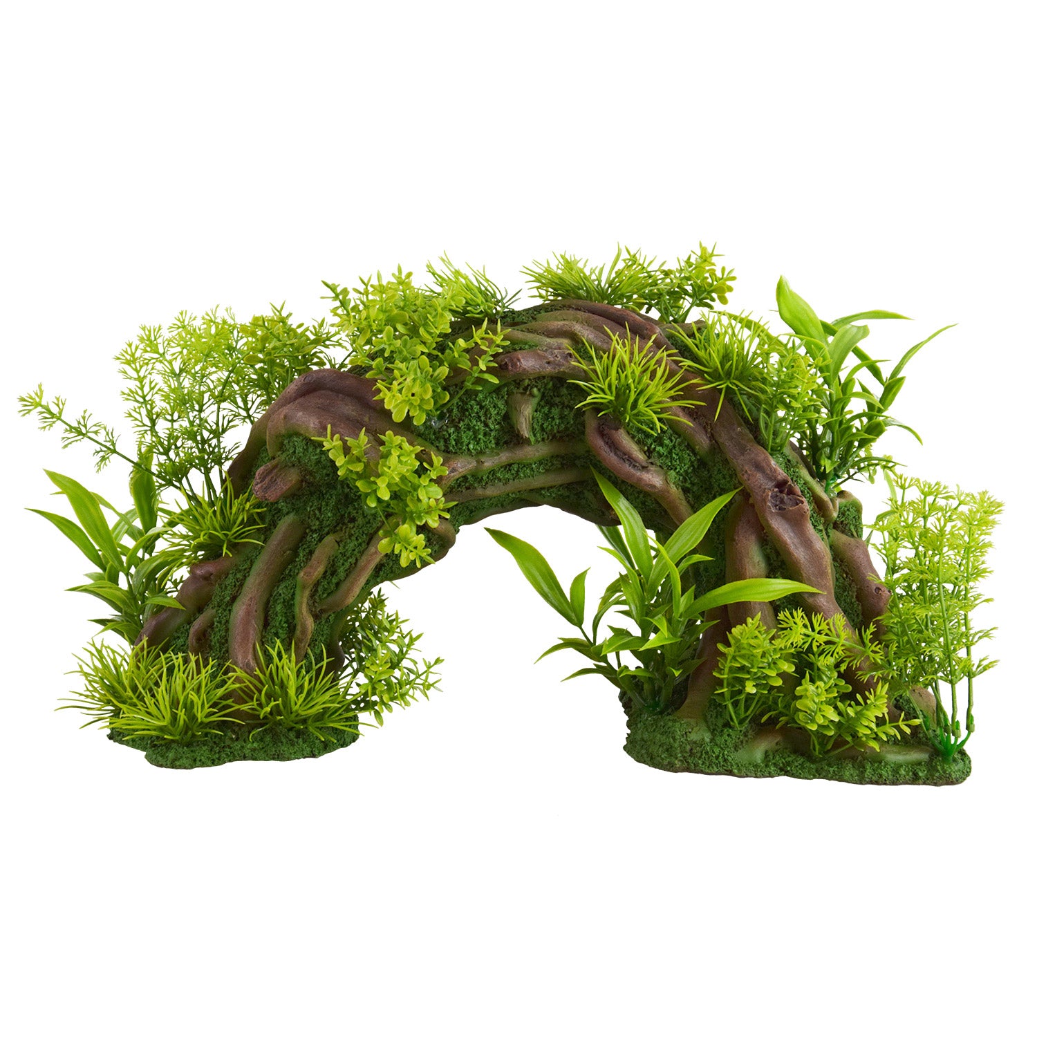 Underwater Treasures Plant Arch