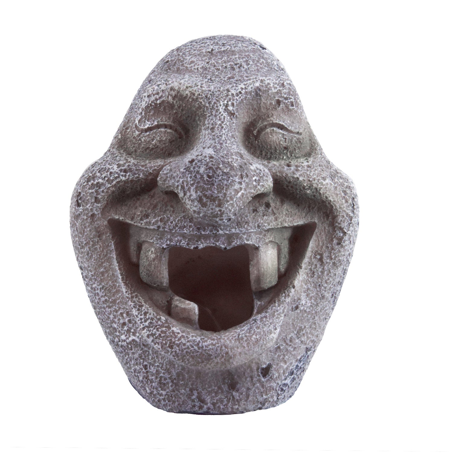 Underwater Treasures Stone Toothless Face