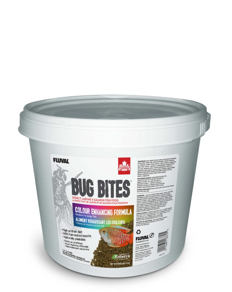 Fluval Bug Bites Colour Enhancing Formula