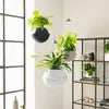 Lechuza Bola 32 Self-Watering Hanging Pot