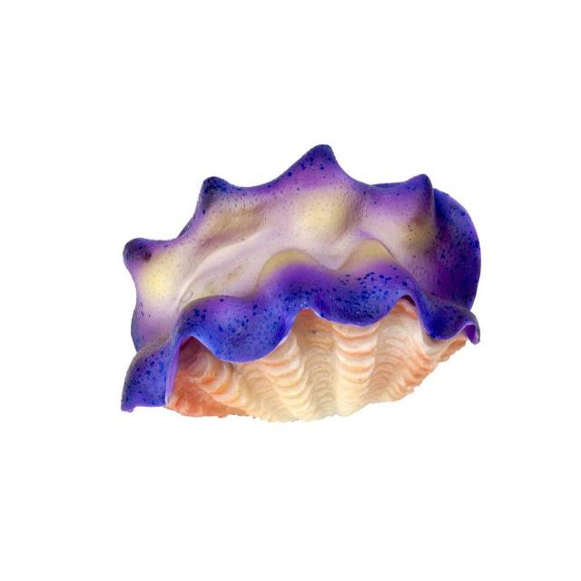 Aquatop Tridachna Clam