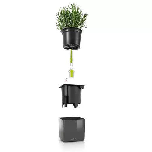 Lechuza Cube Glossy 16 Self-Watering Pot