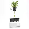 Lechuza Cube Glossy Triple Self-Watering Pot