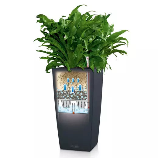 Lechuza Cubico 22 Self-Watering Pot