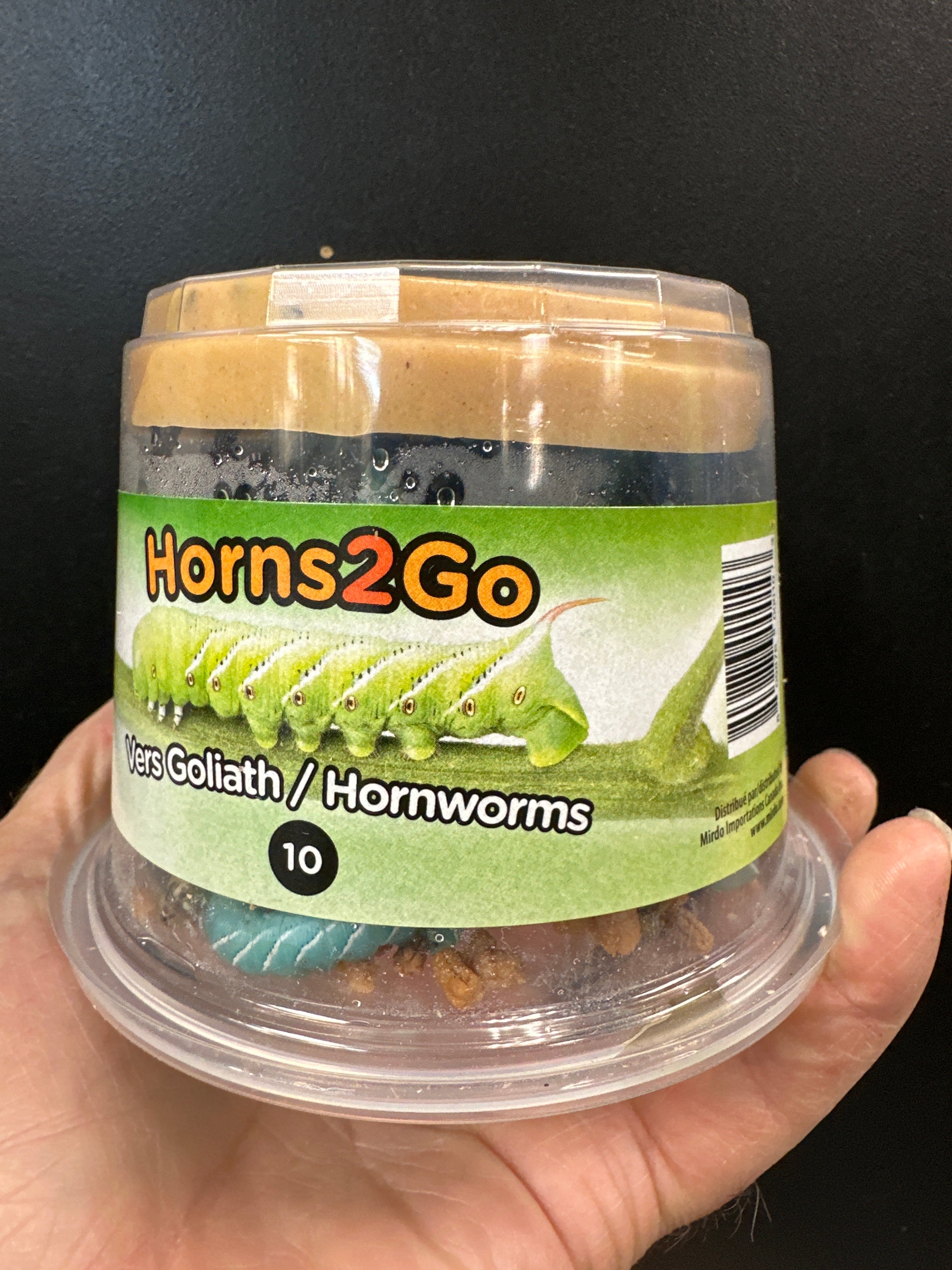 Hornworms