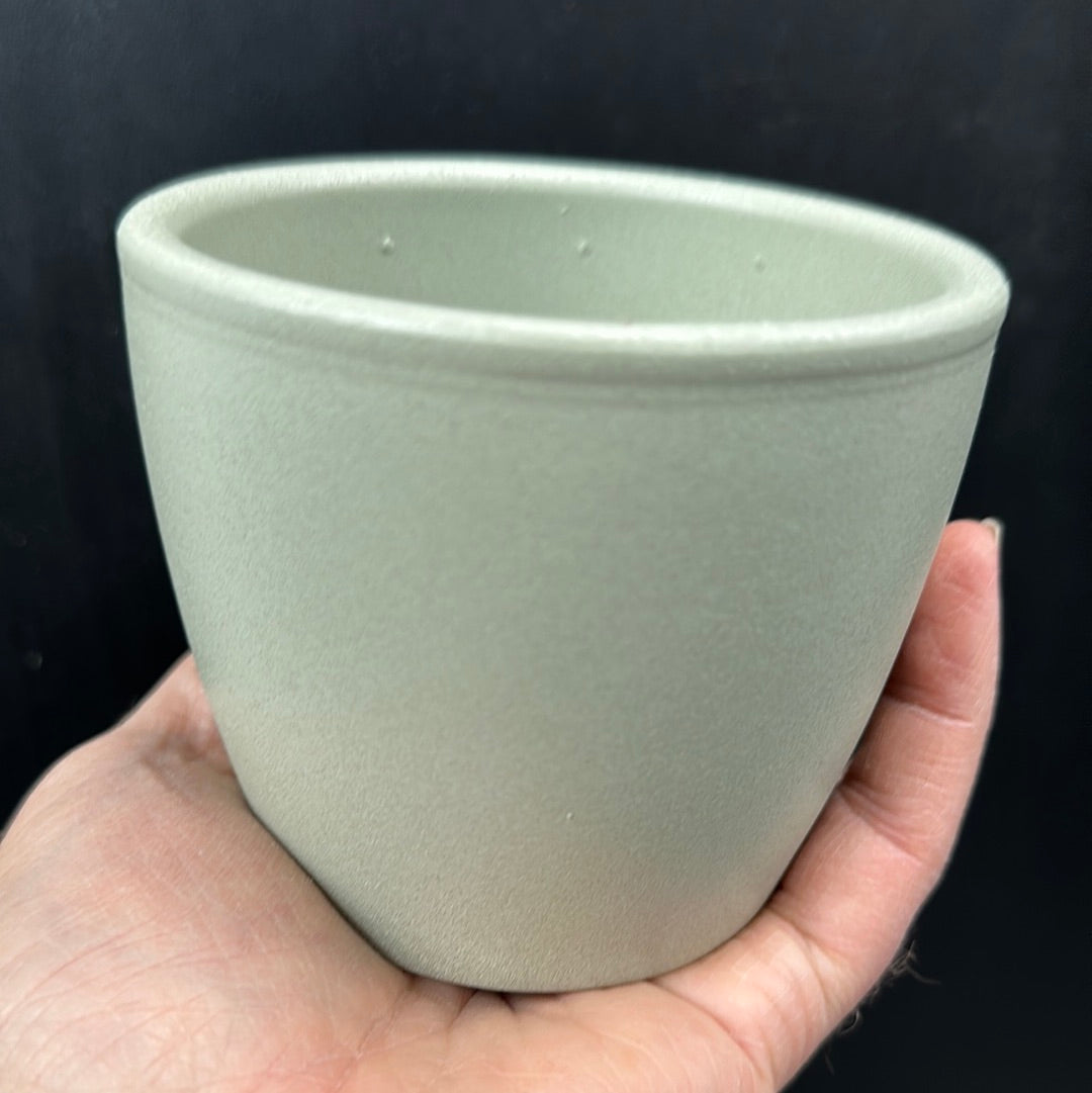 4" Nubia Cactus Ceramic Pot