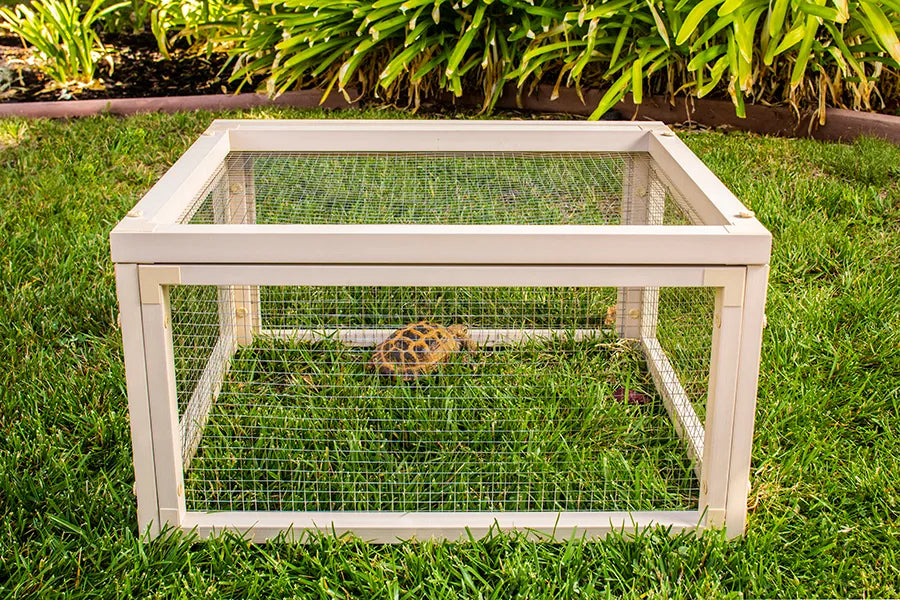 ECOFLEX Sonoran Tortoise Pen Maple 31.5' X 24.1' X 13.3'