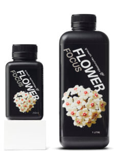 GT Flower Focus