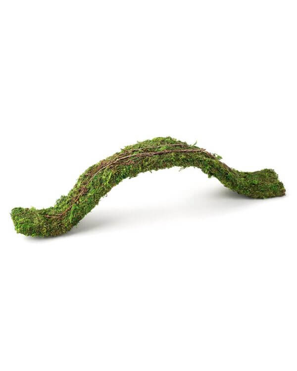 Galapagos Mossy Flexible Bridge