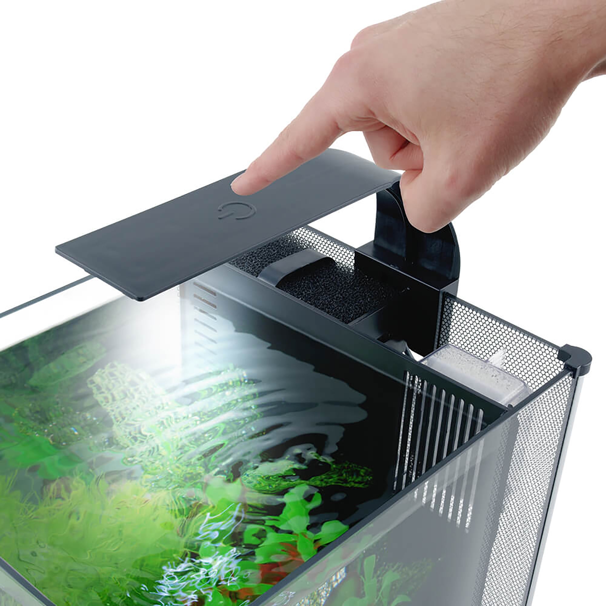 Kit Fluval Betta 10 litres