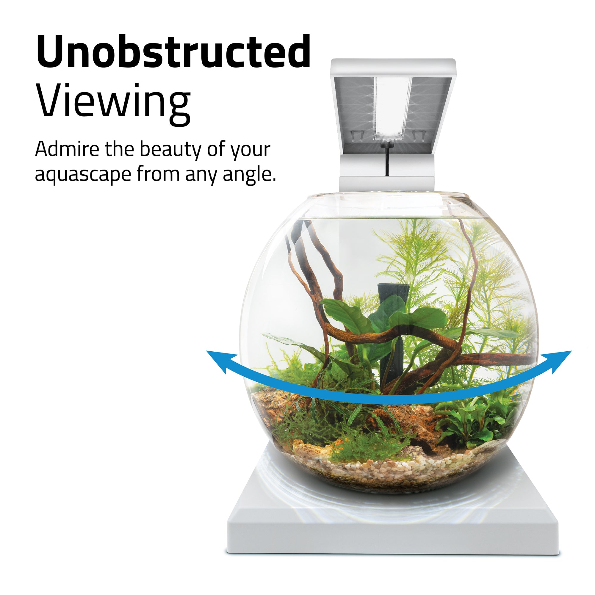 Fluval LIV Microscaping Aquarium Kit - 1.6 Gallon