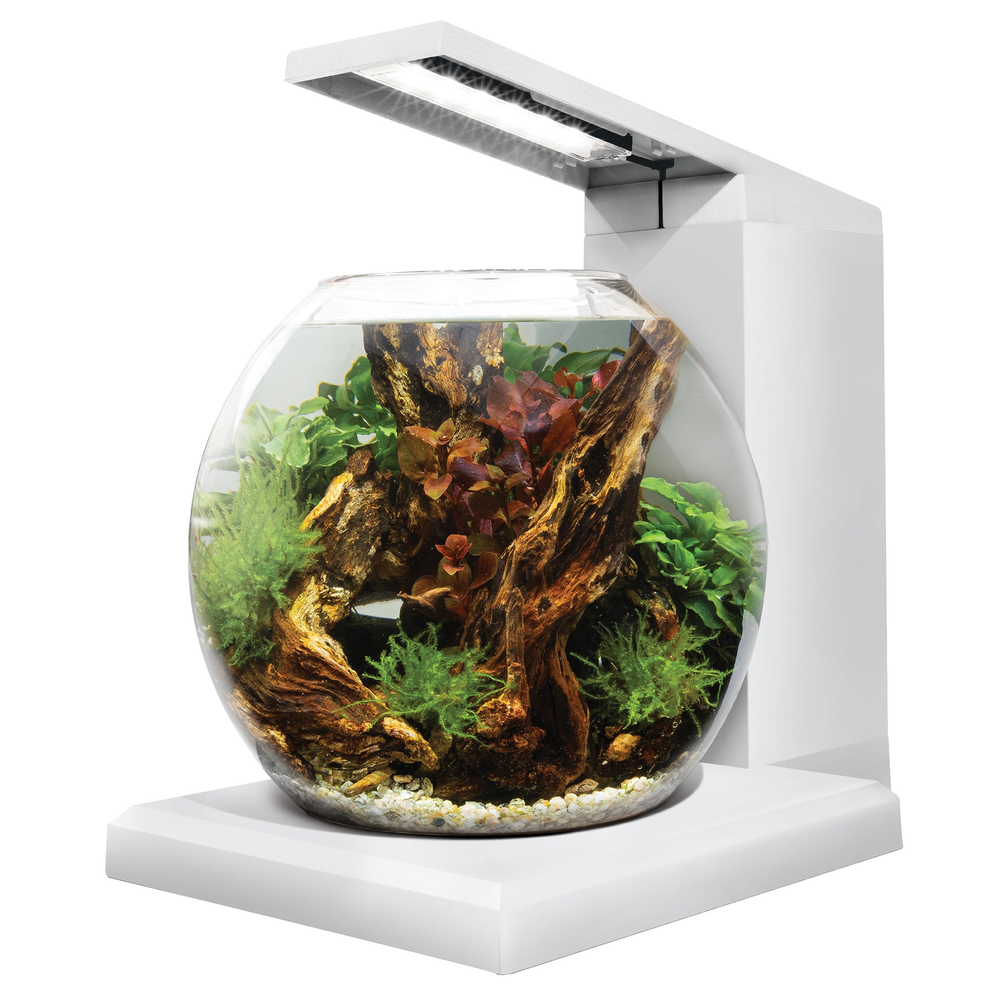 Fluval LIV Microscaping Aquarium Kit - 1.6 Gallon