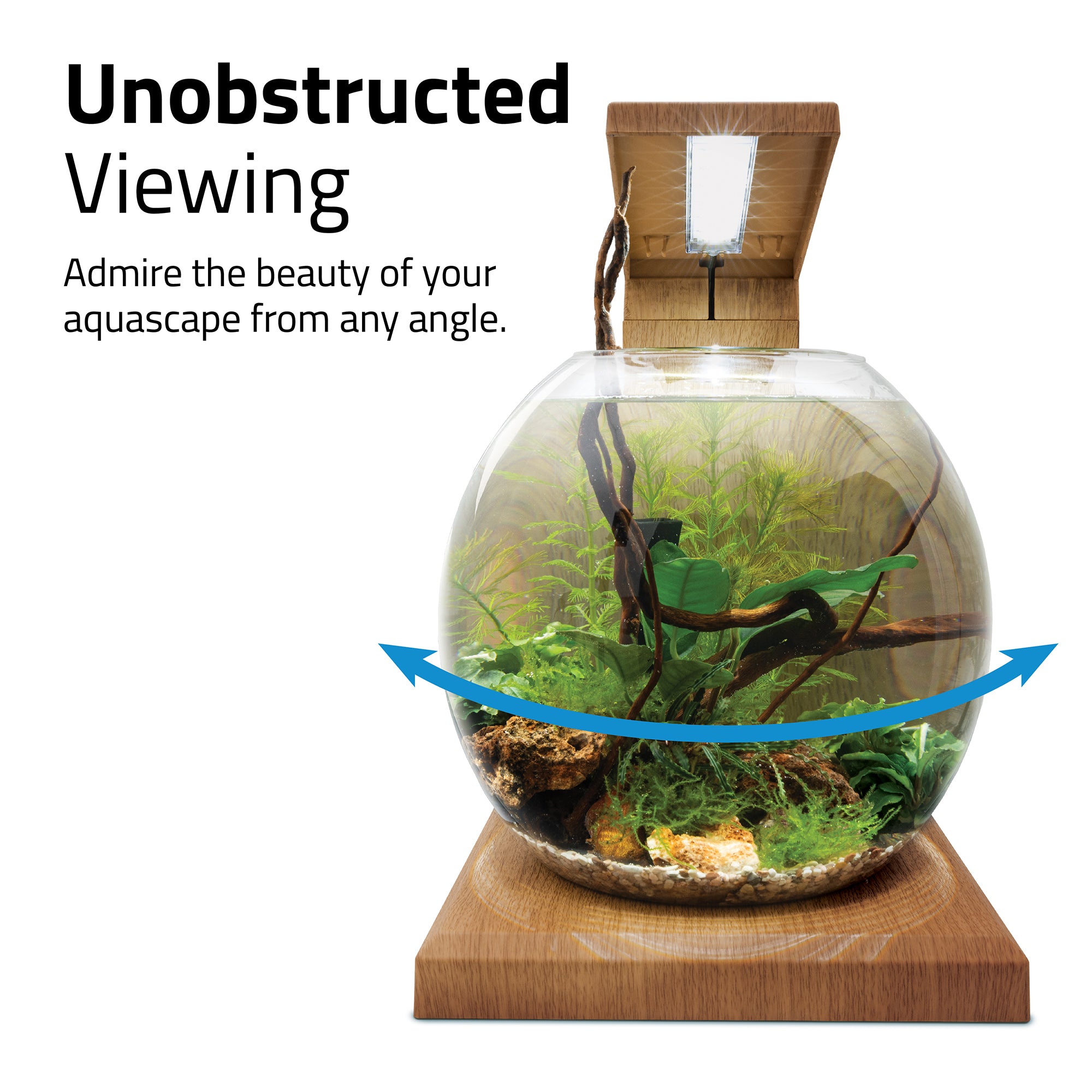 Fluval LIV Microscaping Aquarium Kit - 1.6 Gallon