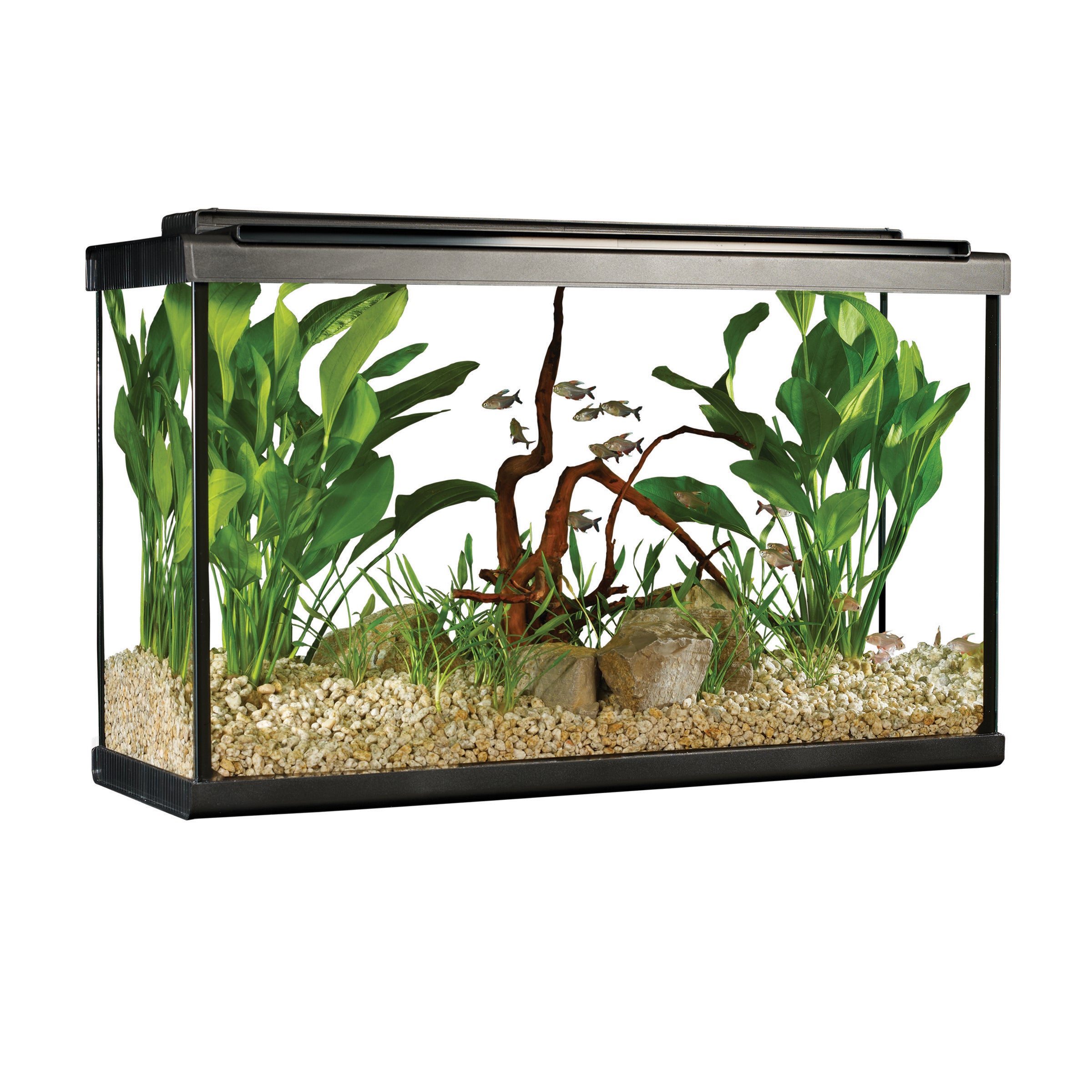 Fluval Premium Aquarium Kit with LED (Special Order Product) - 2 Sizes