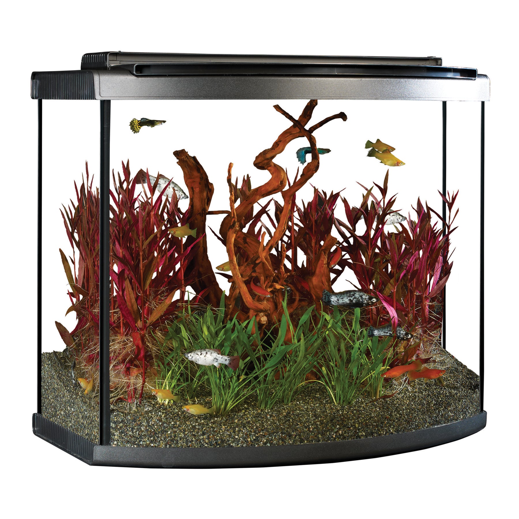 Fluval Premium Aquarium Bow Kit with LED (Special Order Product) - 2 Sizes
