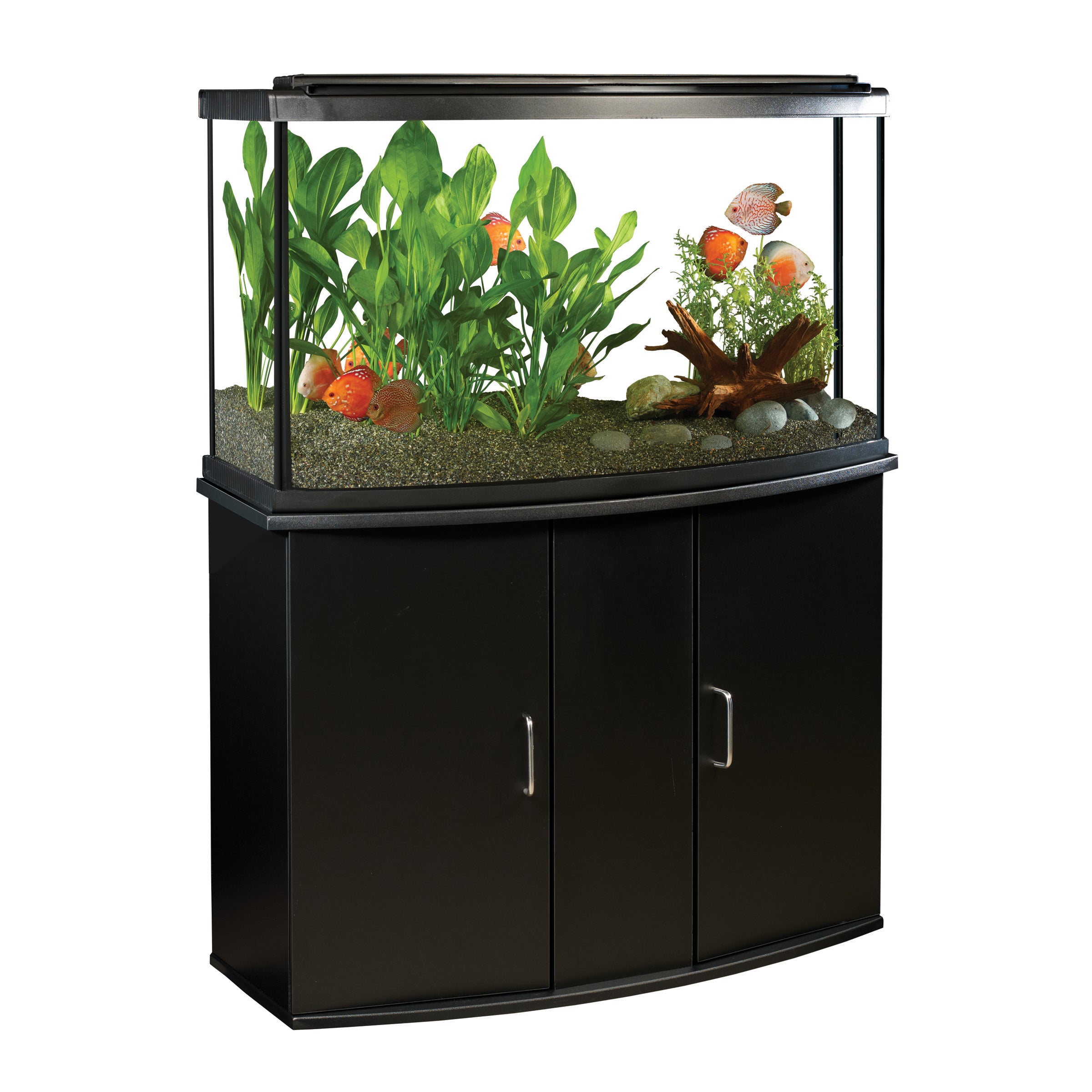 Fluval Premium Aquarium Bow Kit with LED (Special Order Product) - 2 Sizes