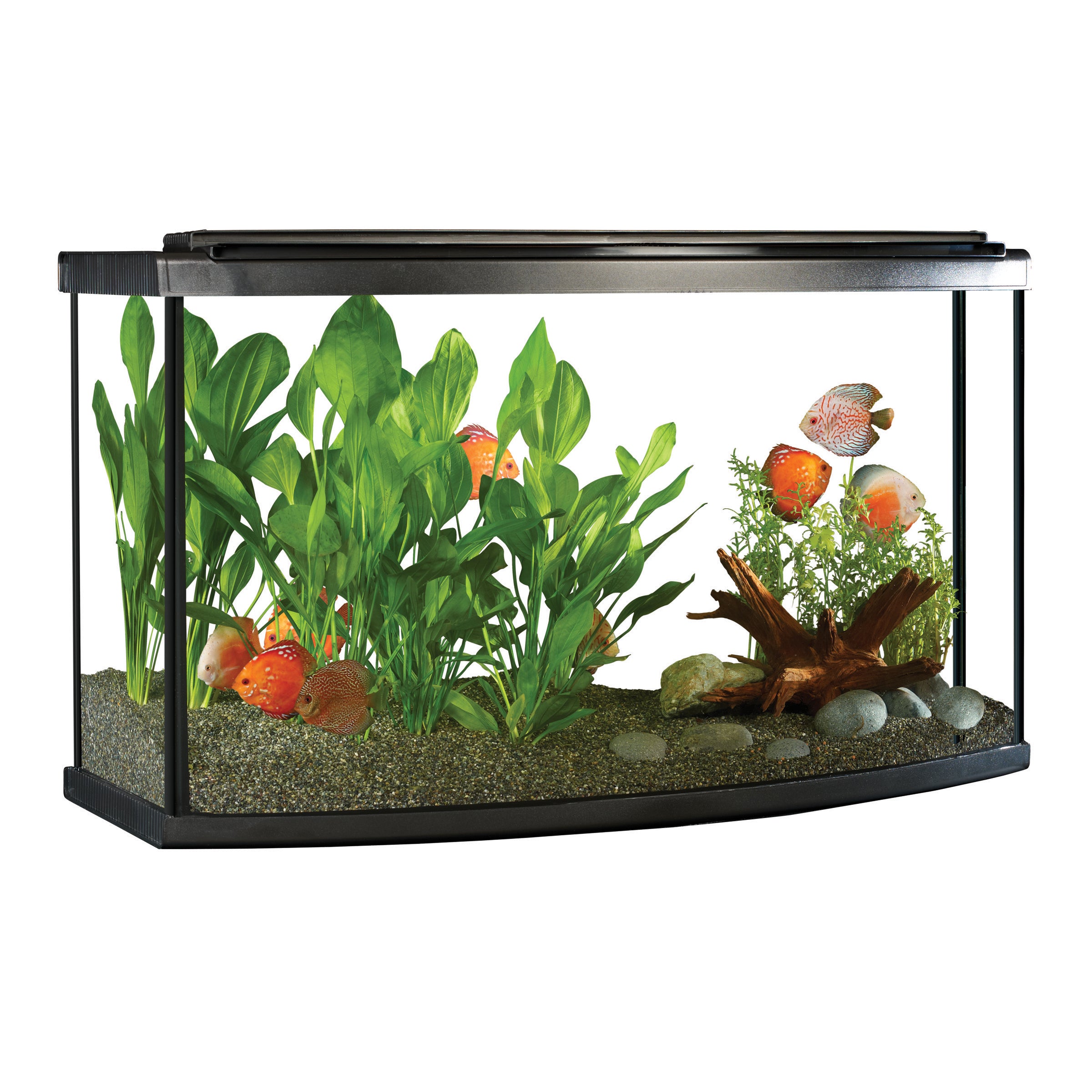 Fluval Premium Aquarium Bow Kit with LED (Special Order Product) - 2 Sizes