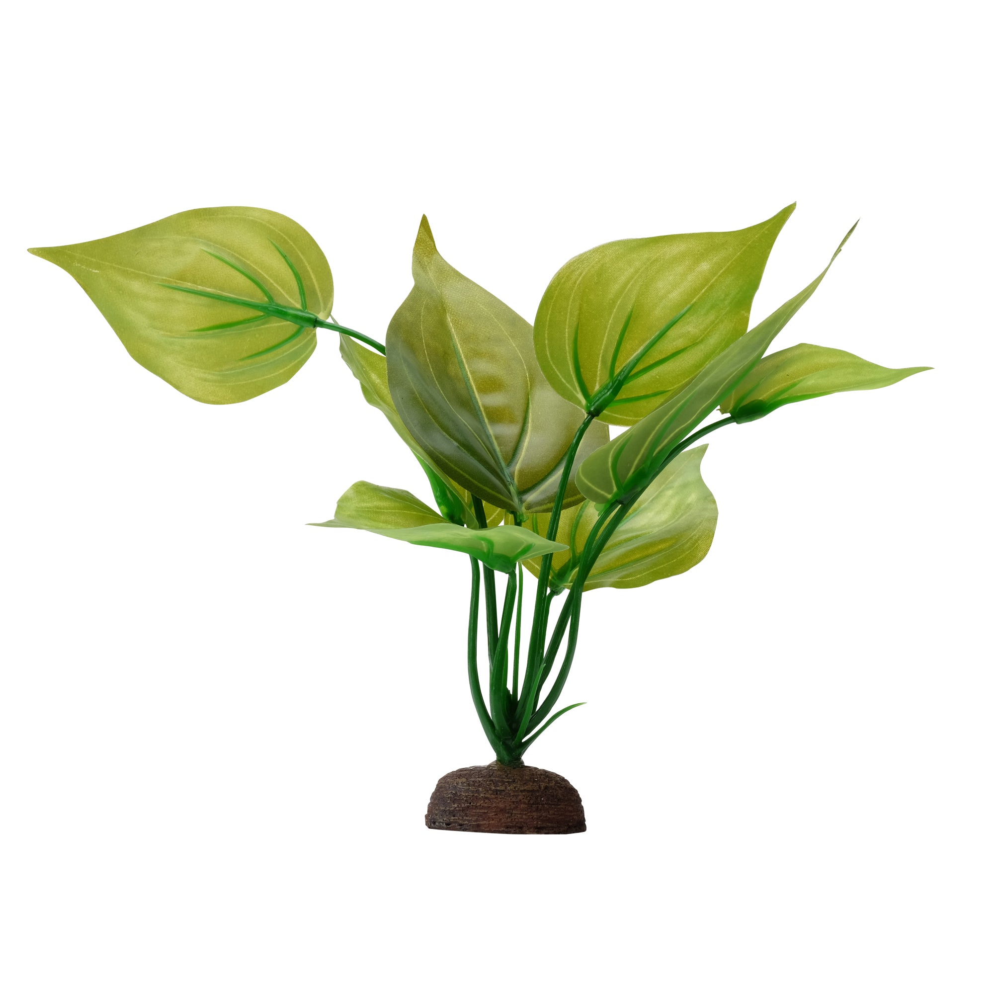 Fluval Aqualife Variegated Lizard's Tail