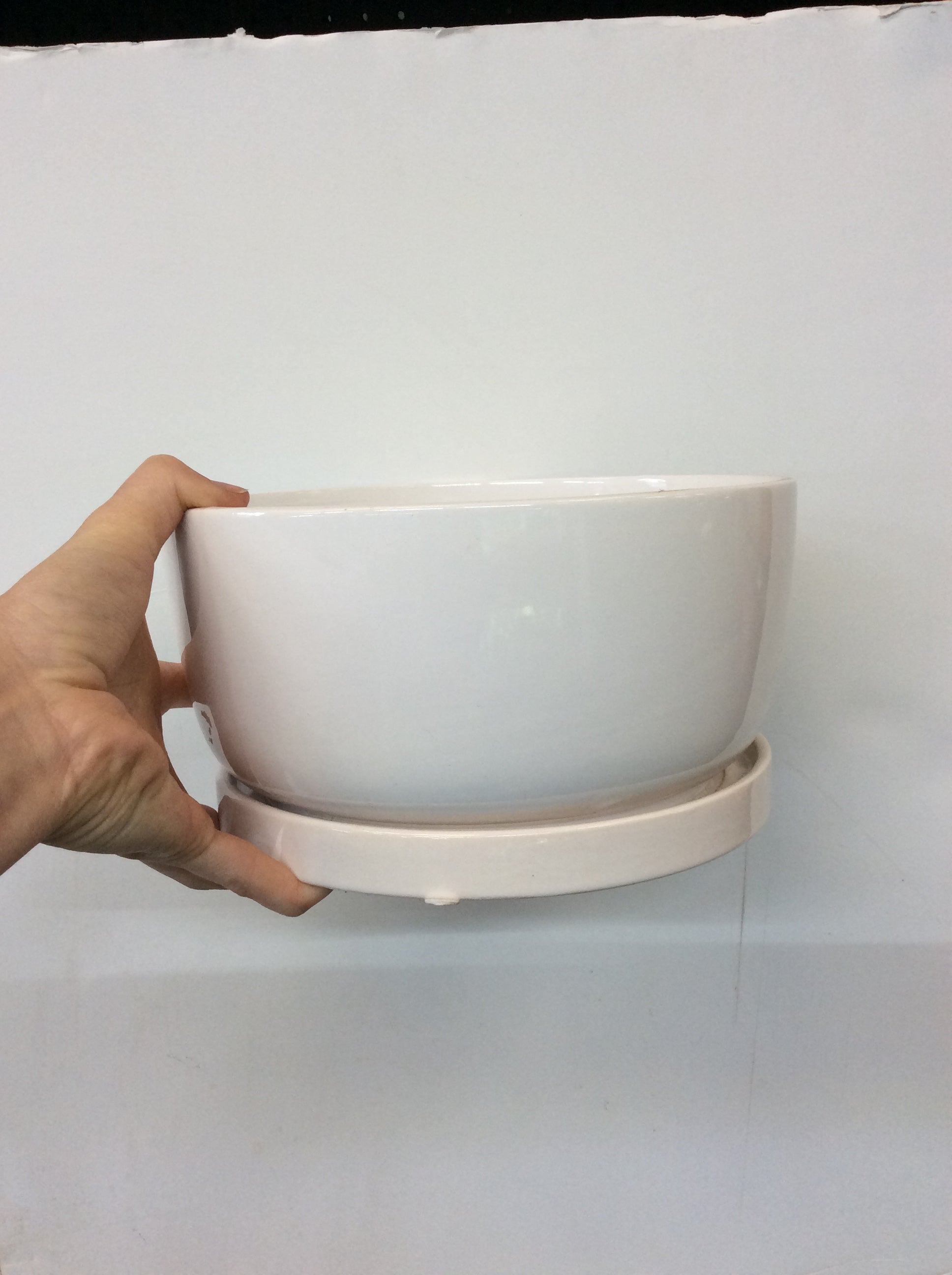 8.5" White Designer Ceramic