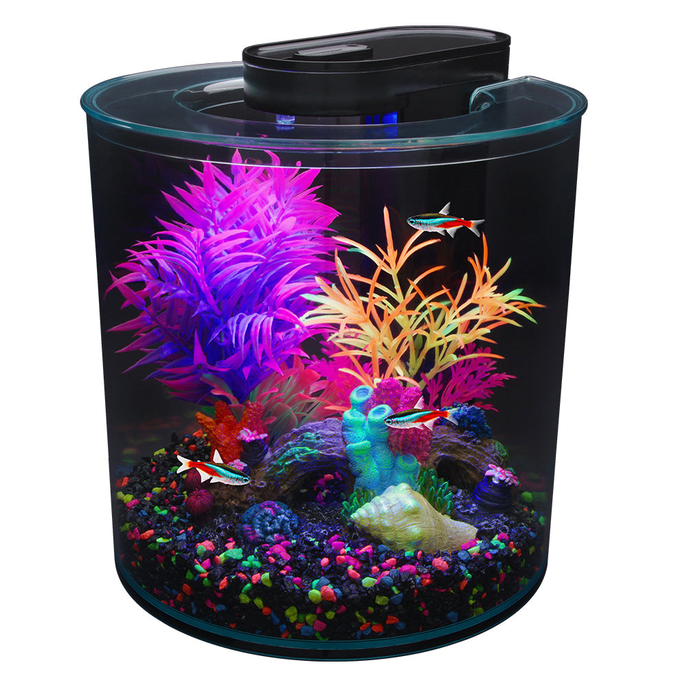 Kit Fluval Betta 10 litres