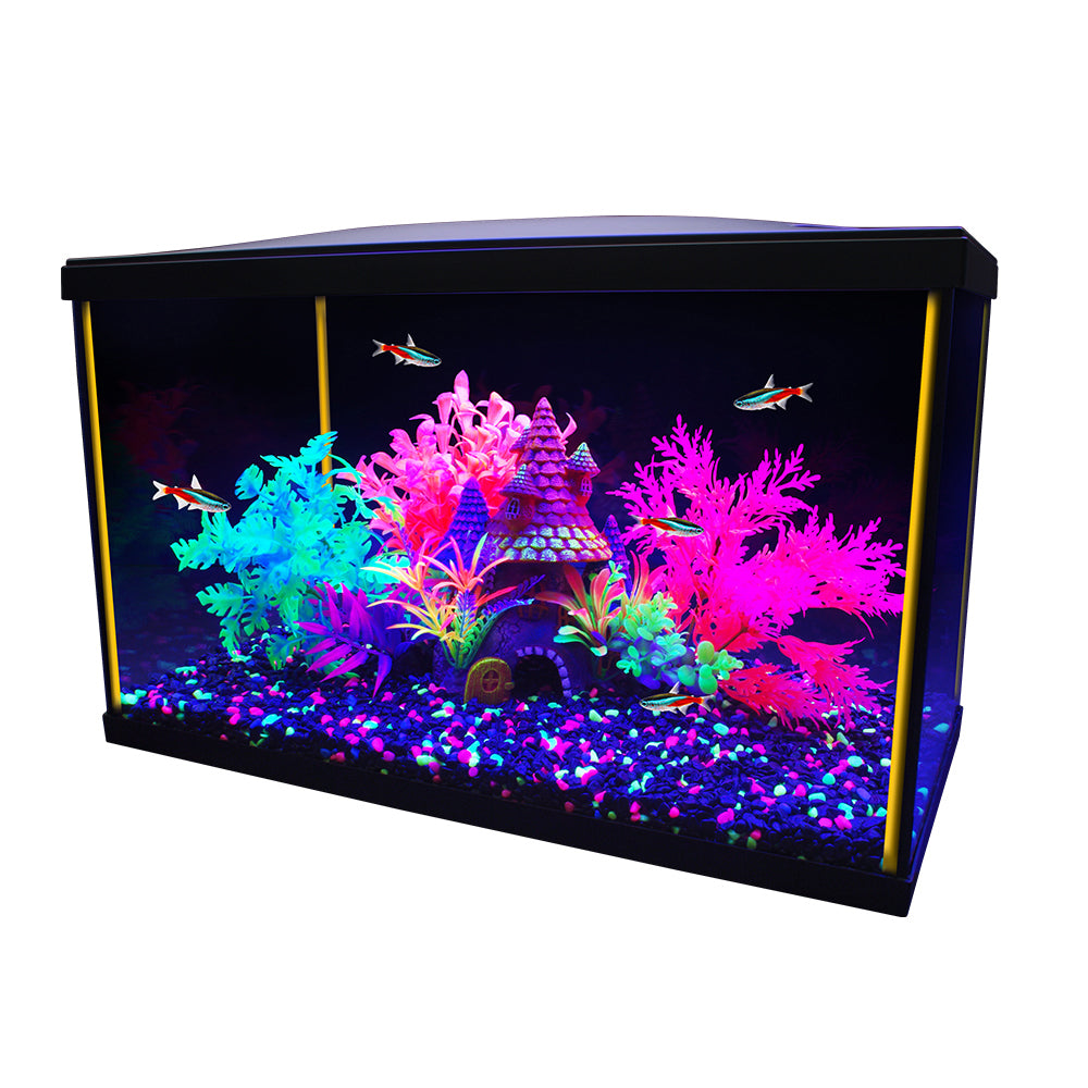 Kit Fluval Betta 10 litres