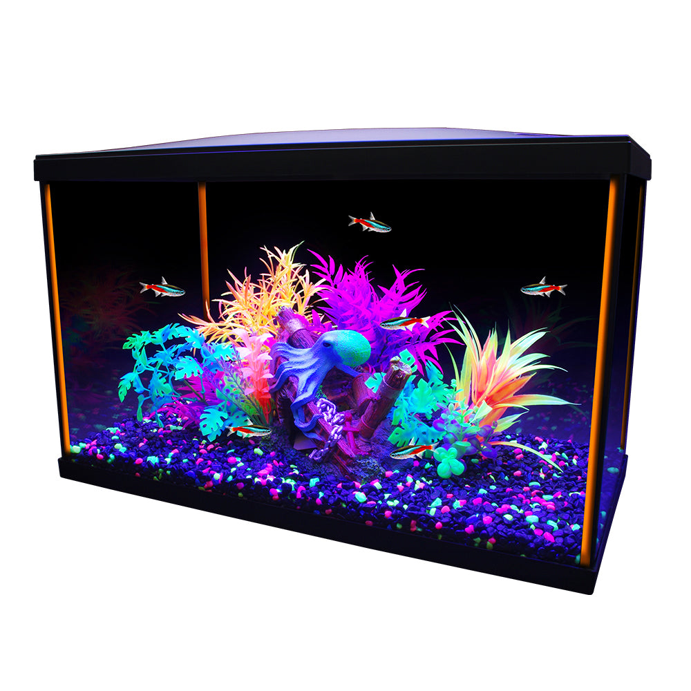 Kit Fluval Betta 10 litres