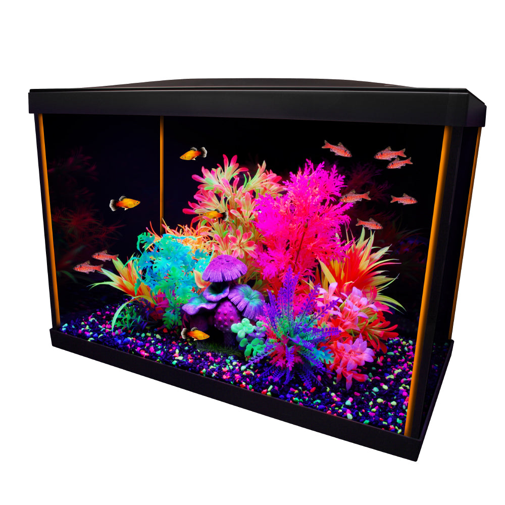 Kit Fluval Betta 10 litres