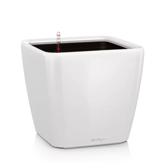 Lechuza Quadro LS 21 Self-Watering Pot