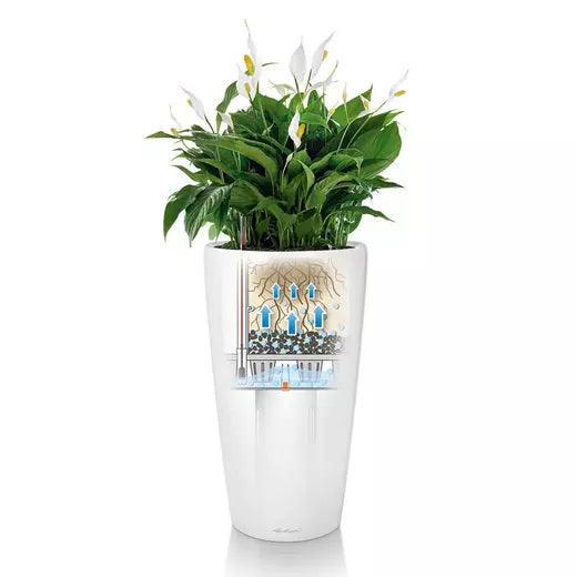 Lechuza Rondo 32 Self-Watering Pot