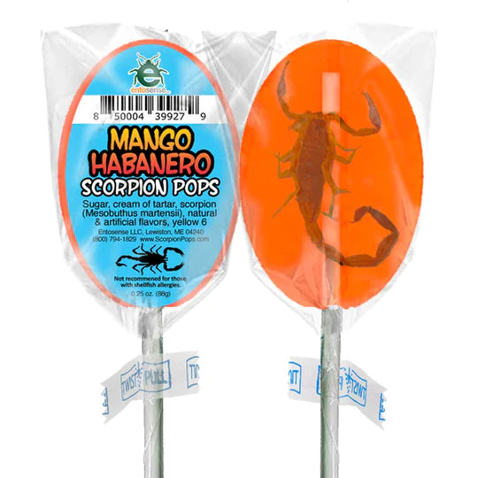 Lil Bugz Scorpion Lollipops (For Humans)