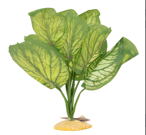 Aquaglobe Silk Green Calathea 12"