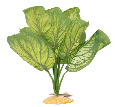 Aquaglobe Silk White Calathea 20"