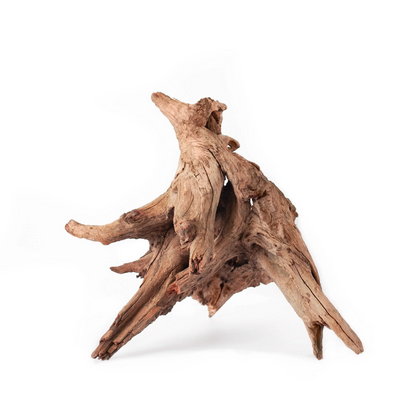 Galapagos Hollow Tree Root 12-16"