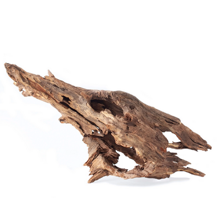 Galapagos Hollow Tree Root 12-16"