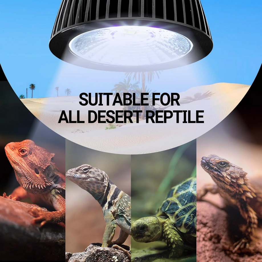 ReptiZoo UVB LED Mini Desert Lamp 3W