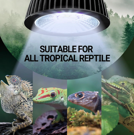 ReptiZoo UVB LED Mini Tropical Lamp 3W