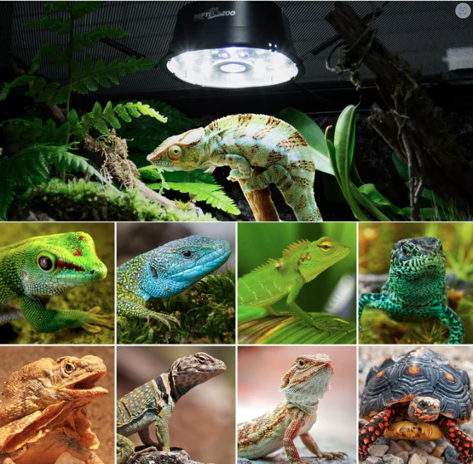 ReptiZoo Low Profile UVB LED Dimming Fixture 6W