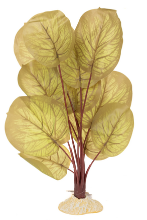 Aquaglobe Silk Yellow Calathea 20"