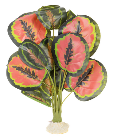 Aquaglobe Silk Red Calathea W/ Green Stem 20"