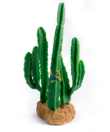 Aquaglobe Sunrise Cactus 5" (Special Order Product)