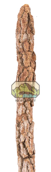 NewCal Gahlo Estrela Natural Cork Branch 1-1.5" Diameter