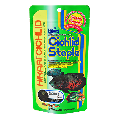 Hikari Cichlid Staple Baby Pellets (Special Order Product)