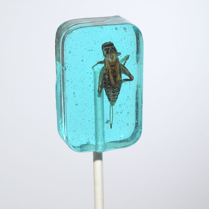 Hotlix Cricket Lollipops (For Humans)