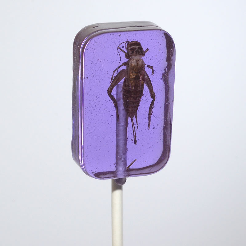 Hotlix Cricket Lollipops (For Humans)