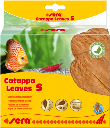 Sera Catappa (Almond) Leaves (10-Pack)