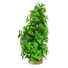 Underwater Treasures Green Ludwigia Tall