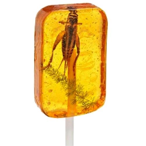 InsectNside Amber Cricket Lollipop (For Humans)