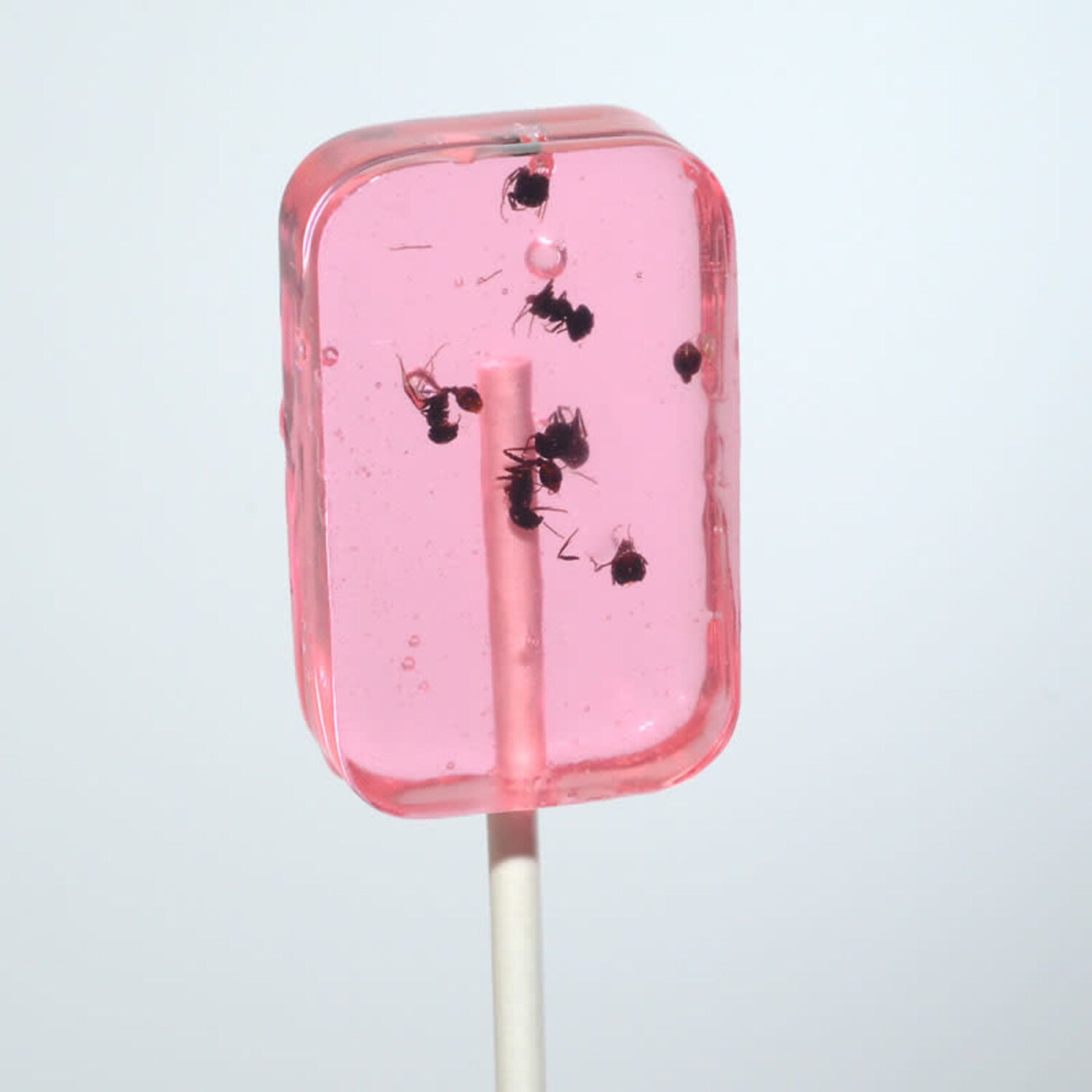 Hotlix Ant Lollipops (For Humans)