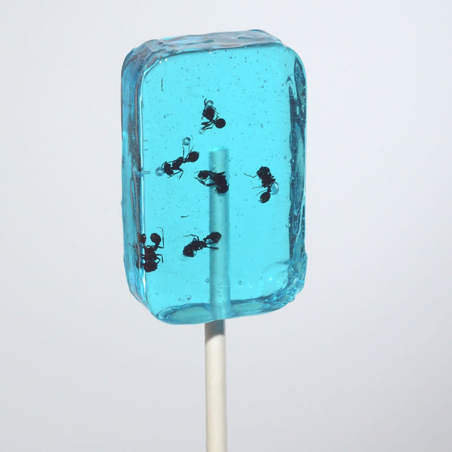 Hotlix Ant Lollipops (For Humans)